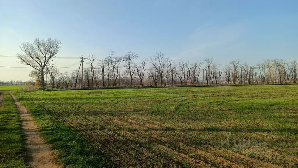 Участок в Краснодарский край, Анапа муниципальный округ, Красный ... - Фото 1