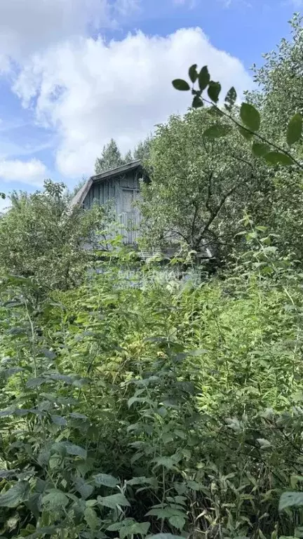 Участок в Нижегородская область, Балахнинский муниципальный округ, ... - Фото 2