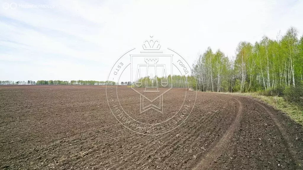Участок в село Никольское, Новая улица, 1 (397.03 м) - Фото 1