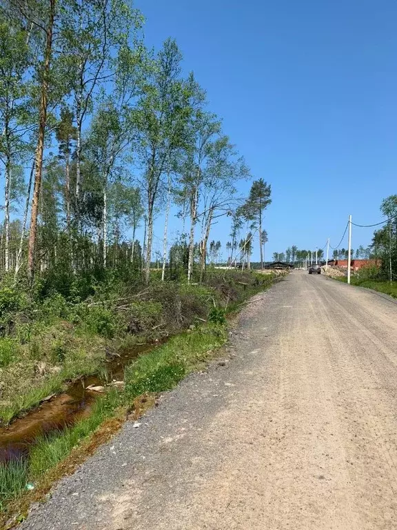 Участок в Ленинградская область, Всеволожский район, Токсовское ... - Фото 0
