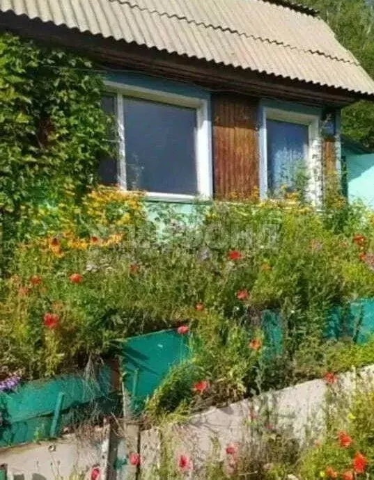 Дом в Новосибирская область, Новосибирск Сивашская ул. (60 м) - Фото 0