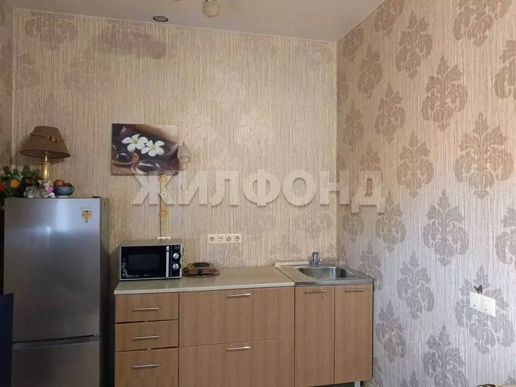 1-к кв. Новосибирская область, Новосибирск Рубежная ул., 35 (23.0 м) - Фото 0