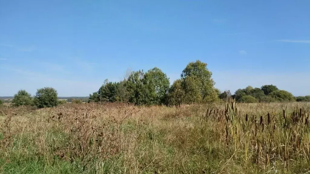 Участок в Московская область, Можайский муниципальный округ, д. Холм  ... - Фото 1