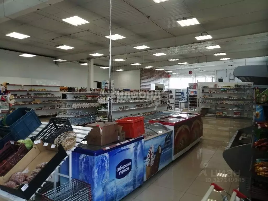 Торговая площадь в Новосибирская область, Новосибирский район, ... - Фото 2