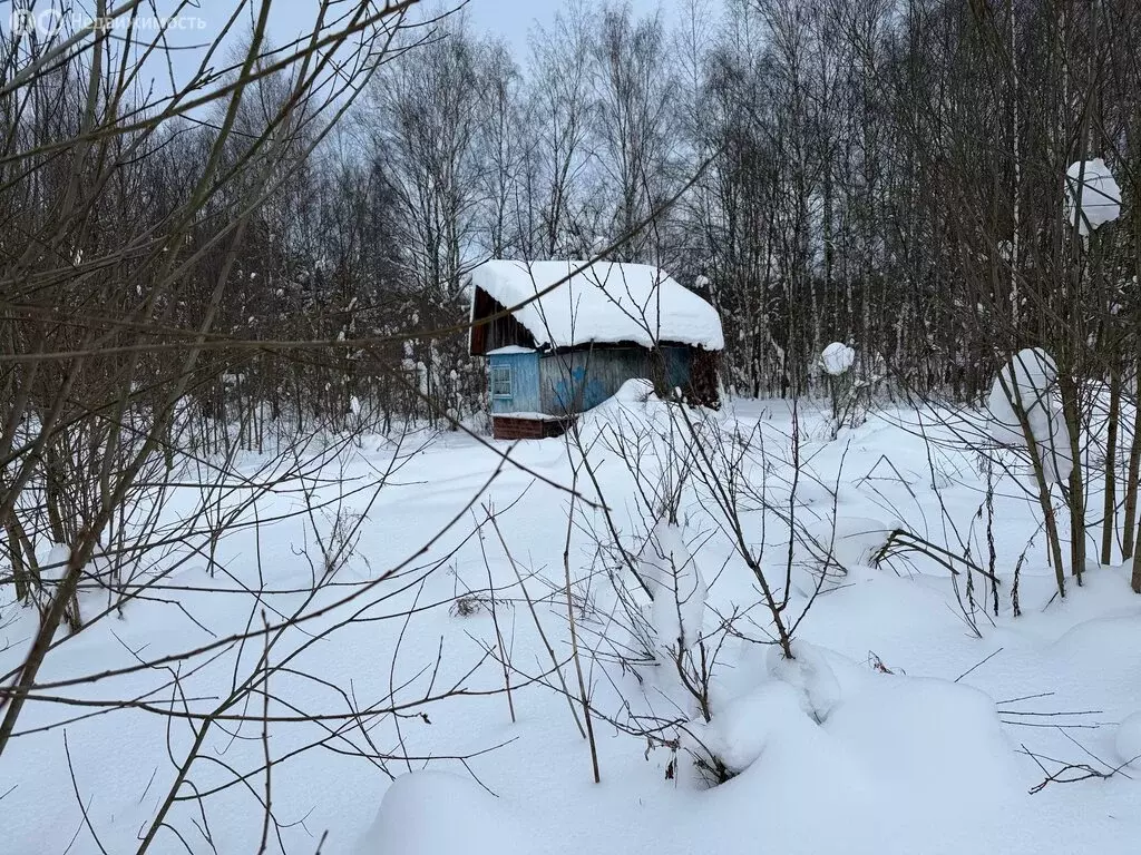 Участок в Владимирская область, Александровский муниципальный округ, ... - Фото 2