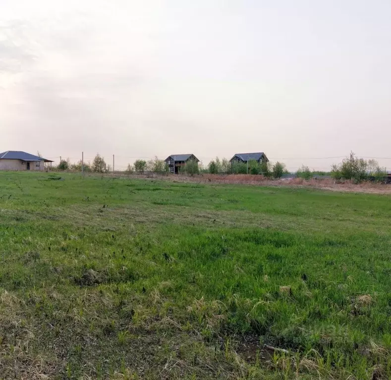 Участок в Хабаровский край, Хабаровский район, с. Краснореченское ул. ... - Фото 0