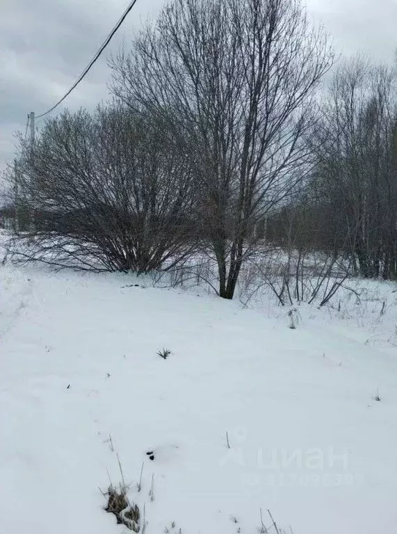 Участок в Московская область, Ступино городской округ, д. Бурцево ул. ... - Фото 0