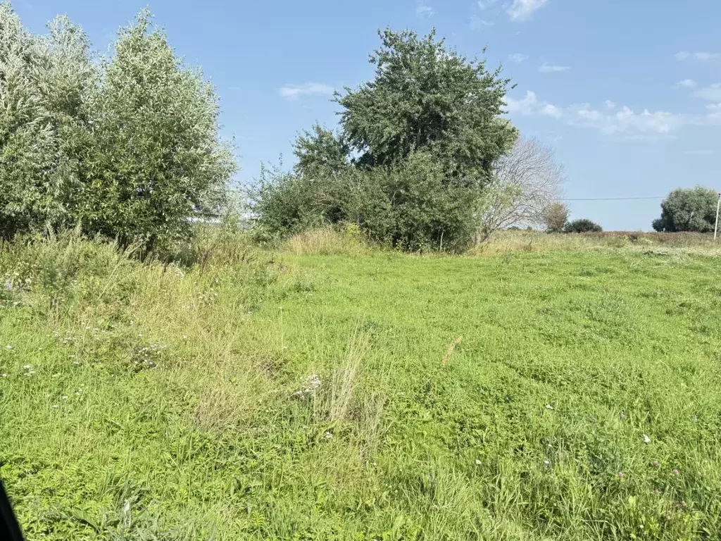 Участок в Московская область, Кашира городской округ, д. Барабаново  ... - Фото 1