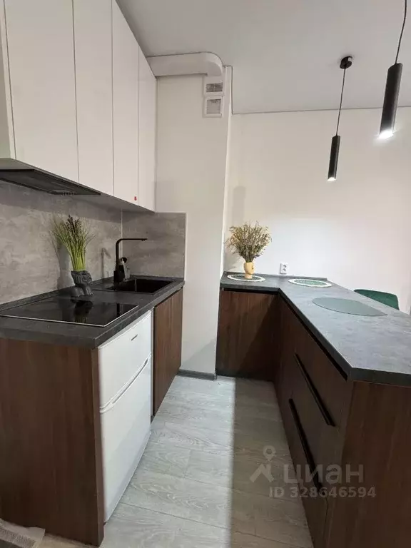 Студия Курская область, Курск ул. Энгельса, 115А/3 (24.5 м) - Фото 1