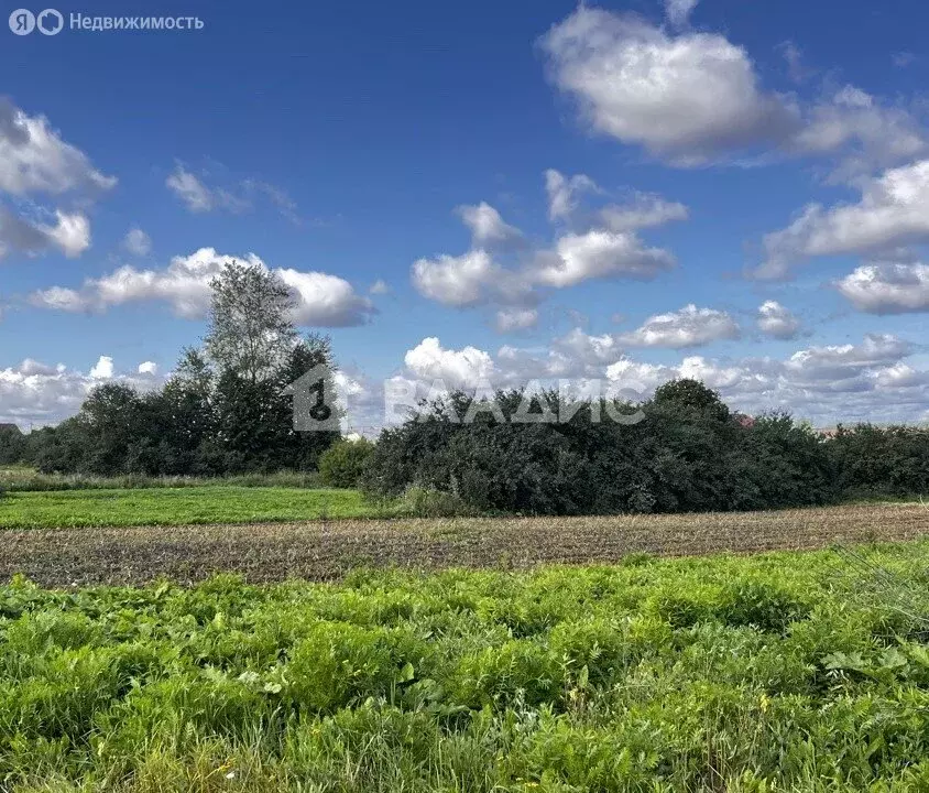 Участок в Суздальский район, муниципальное образование Павловское, ... - Фото 1