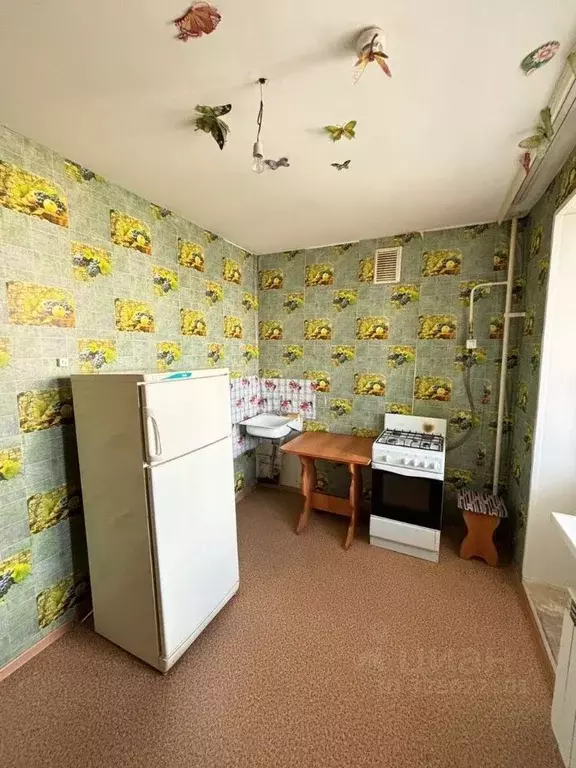 1-к кв. Башкортостан, Стерлитамакский район, Отрадовский сельсовет, с. ... - Фото 1