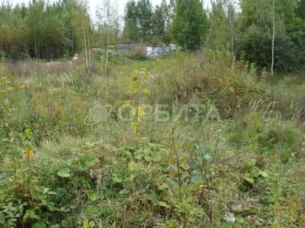 Участок в Тюменская область, Тюменский район, Лесник-2 СНТ  (9.0 сот.) - Фото 1