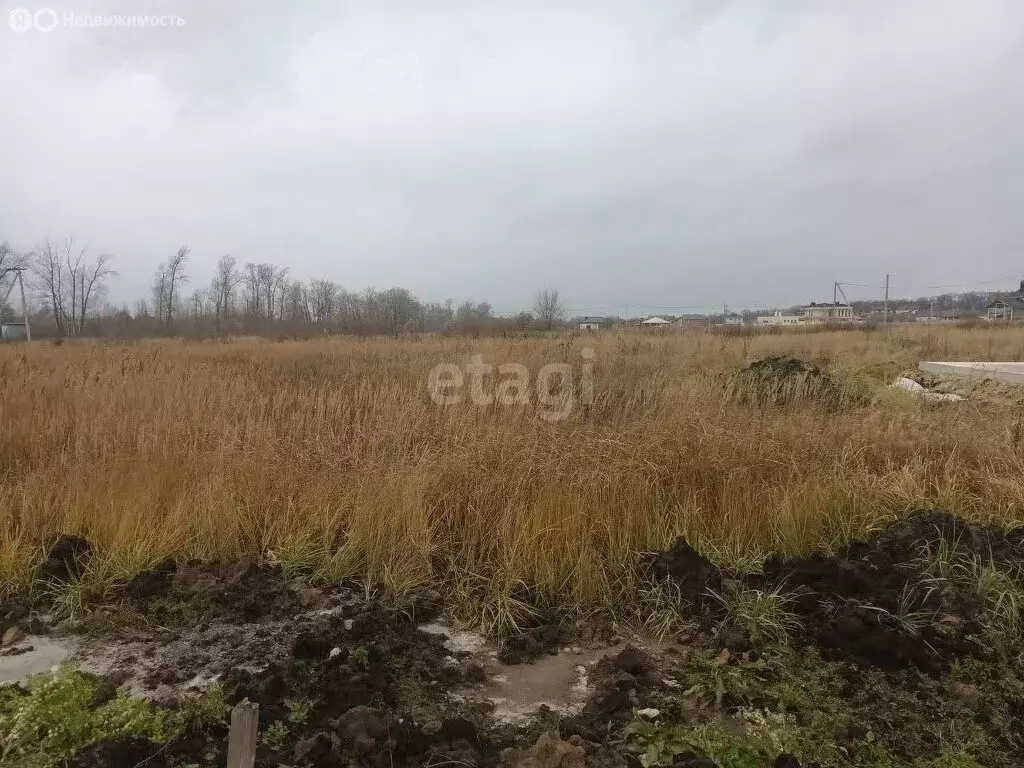 Участок в село Луговое, улица Шамукова (15 м) - Фото 1