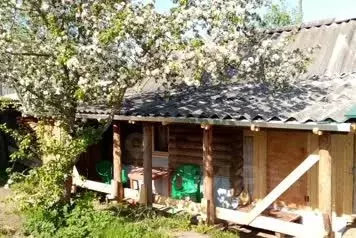 Дом в Тверская область, Селижаровский муниципальный округ, д. Шихино ... - Фото 1