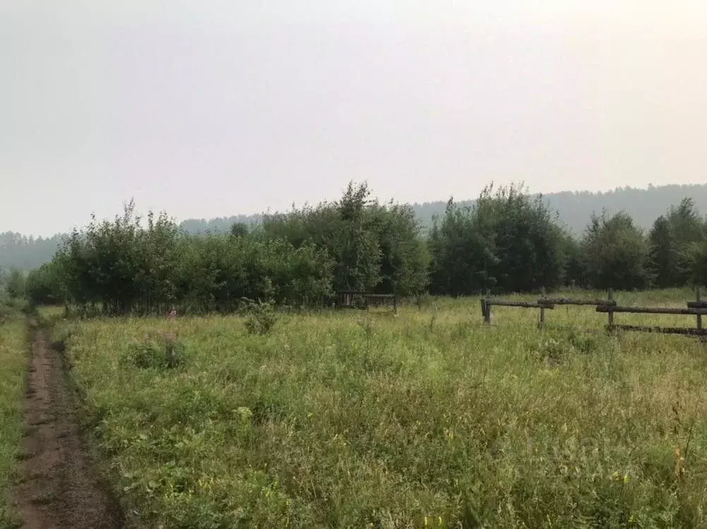 Участок в Иркутская область, Иркутский муниципальный округ, д. Талька  ... - Фото 1