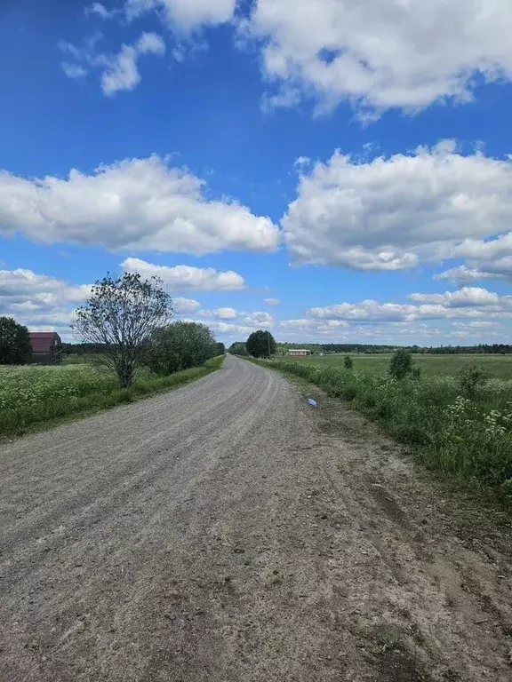 Участок в Ленинградская область, Тосненское городское поселение, д. ... - Фото 1
