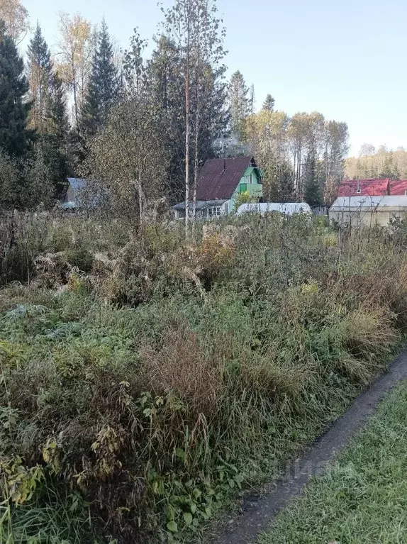 Участок в Пермский край, Пермский муниципальный округ, Сосенка СНТ  ... - Фото 1