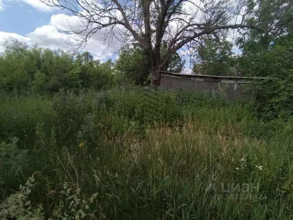 Участок в Белгородская область, Старооскольский городской округ, с. ... - Фото 1