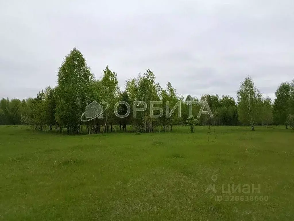 Участок в Тюменская область, Нижнетавдинский муниципальный округ, с. ... - Фото 1