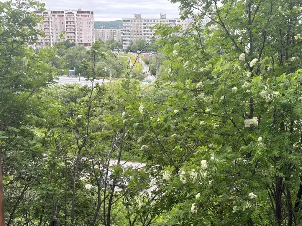 2-к кв. Мурманская область, Мурманск Кольский просп., 168 (45.0 м) - Фото 0