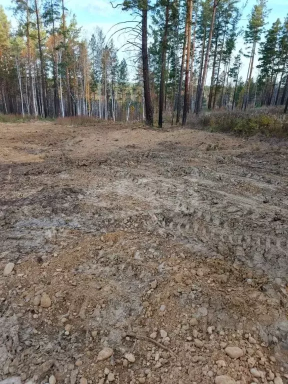 Участок в Иркутская область, Иркутский муниципальный округ, ... - Фото 1