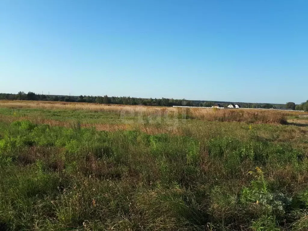 Участок в Брянская область, Брянский район, Отрадненское с/пос, д. ... - Фото 2