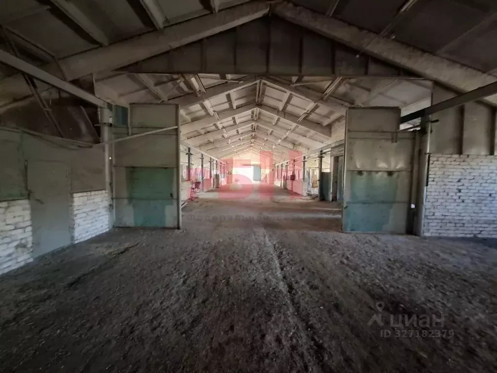 Производственное помещение в Самарская область, Кинель-Черкасский ... - Фото 1