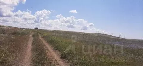 Участок в Крым, Ленинский район, с. Калиновка  (452.0 сот.) - Фото 1