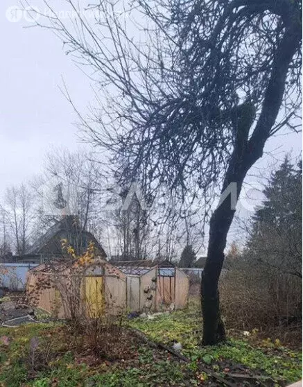 Участок в Юкковское сельское поселение, СНТ Варзовец, 7 (9.6 м) - Фото 2