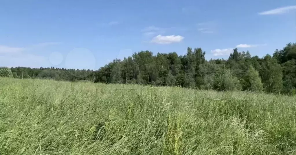 Участок 7,4 сот. (ИЖС) - Фото 1
