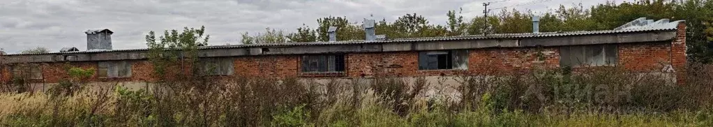 Помещение свободного назначения в Московская область, Истра ... - Фото 2