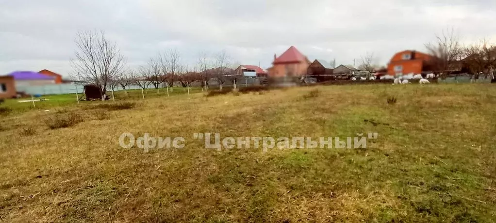 Участок в Ростовская область, Мясниковский район, с. Большие Салы ... - Фото 2