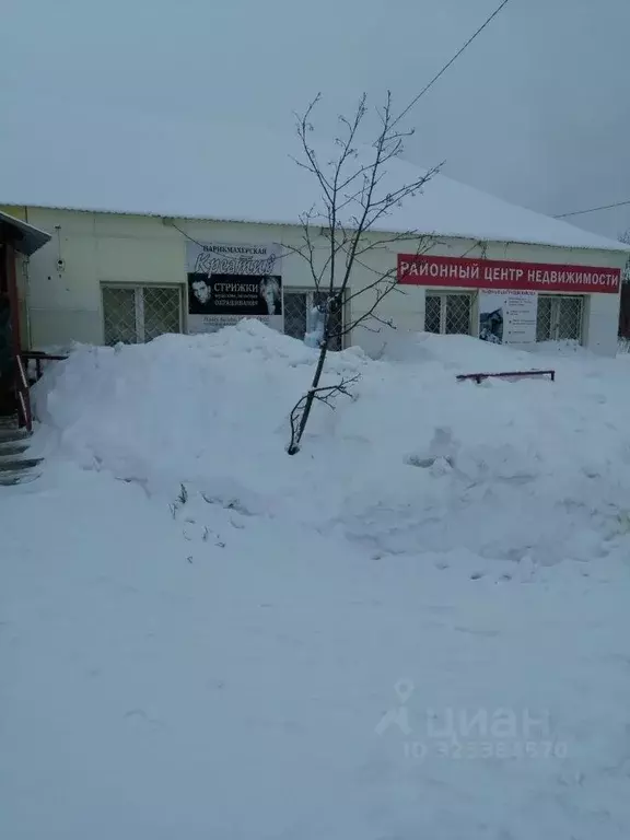 Помещение свободного назначения в Новосибирская область, Мошково рп ... - Фото 2