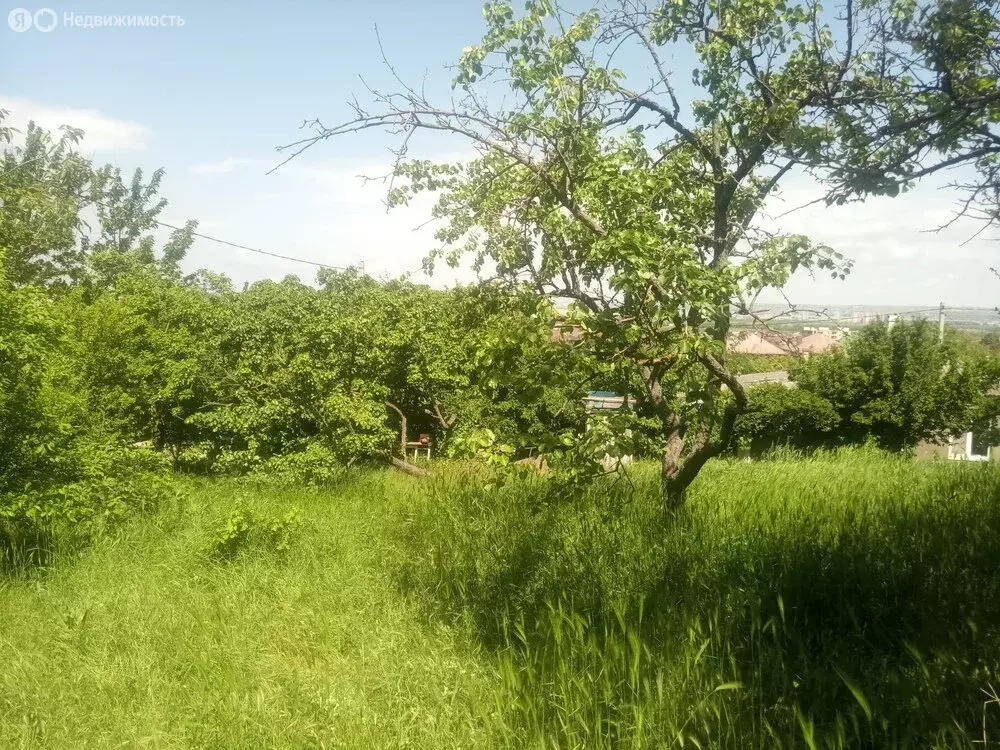 Участок в Супсех, улица Леонова, 2 (10 м) - Фото 1