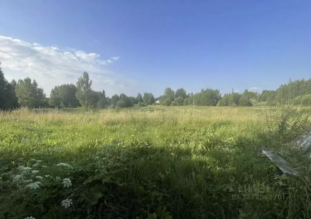 Дом в Смоленская область, Рославльский муниципальный округ, д. ... - Фото 2