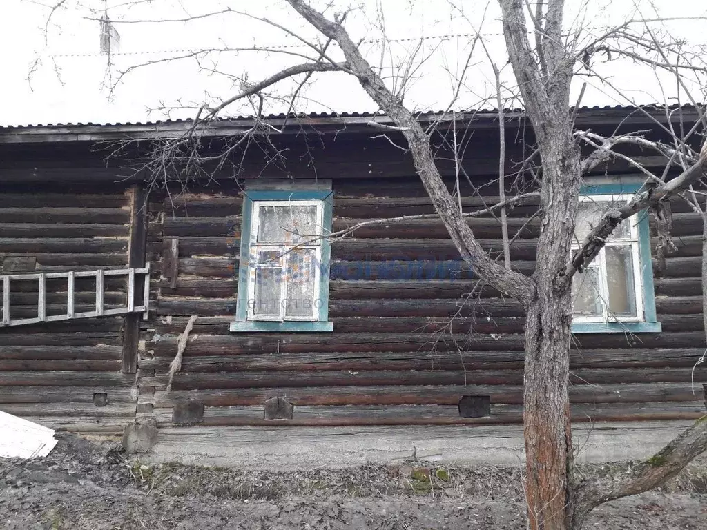 Дом в Нижегородская область, Нижний Новгород городской округ, д. ... - Фото 0