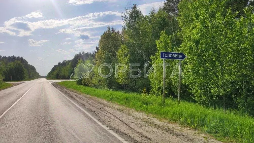 Участок в Тюменская область, Тюменский район, д. Головина Соловьиная ... - Фото 0