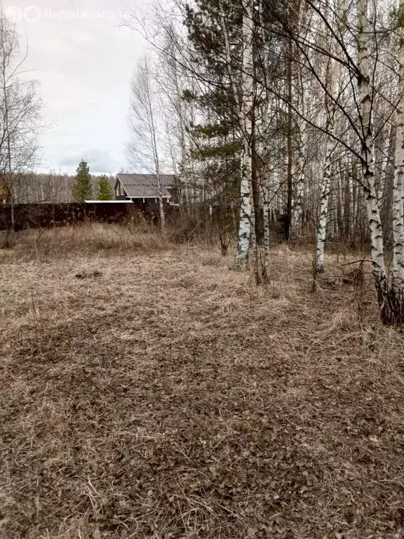 Участок в Нижегородская область, Богородский муниципальный округ, ... - Фото 1