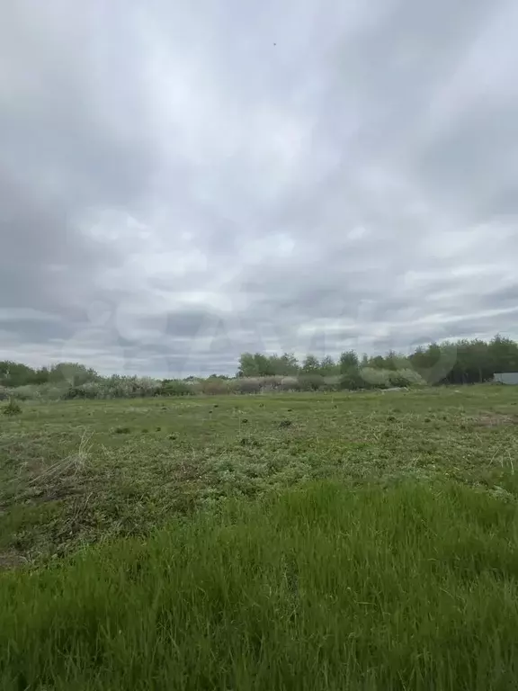 Участок 11 сот. (ИЖС) - Фото 1