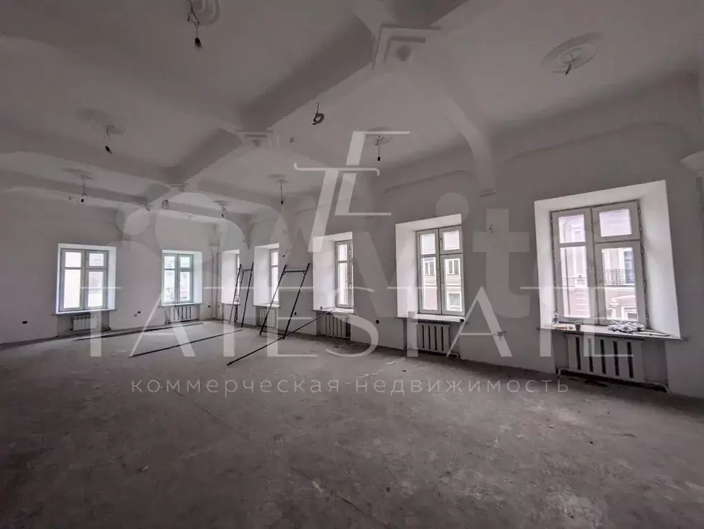 Площадь свободного назначения 250 кв.м - Фото 1