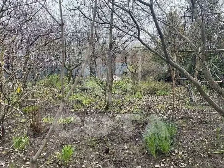 Участок в Воронежская область, с. Новая Усмань пер. Гвардейский, 1 ... - Фото 1