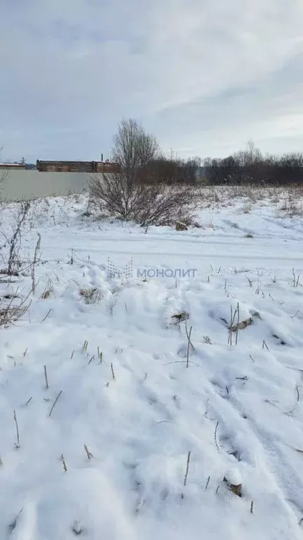 Участок в Нижегородская область, Богородский муниципальный округ, д. ... - Фото 1