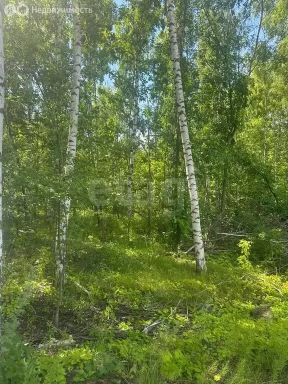 Участок в Самара, Красноглинский район (10 м) - Фото 1