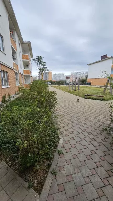 1-к кв. Краснодарский край, Новороссийск ул. Григорьева, 27к1 (30.1 м) - Фото 1