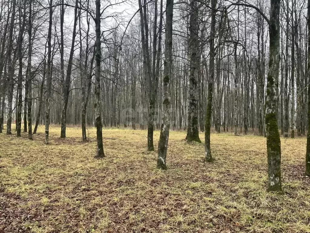 Участок в Тульская область, Тула ул. Едунова, 14 (4.78 сот.) - Фото 1