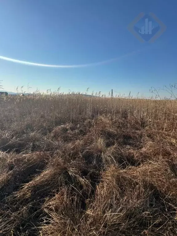 Участок в Приморский край, Партизанский муниципальный округ, с. ... - Фото 1