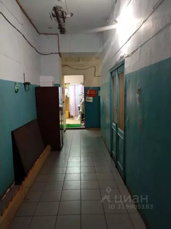 Помещение свободного назначения в Амурская область, с. Тамбовка ул. ... - Фото 1