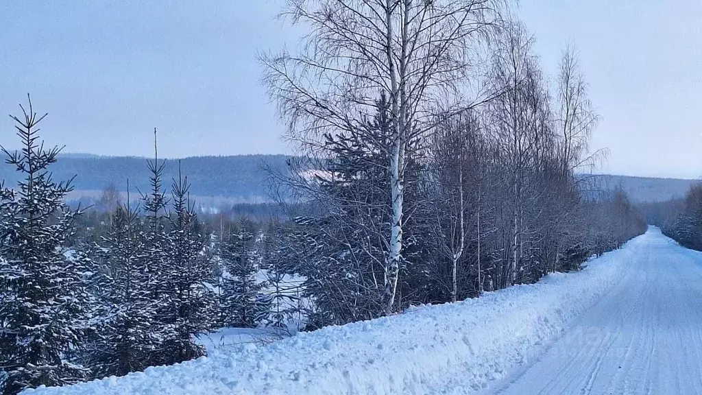 Участок в Пермский край, Оханский городской округ, д. Березовка  (8.0 ... - Фото 0
