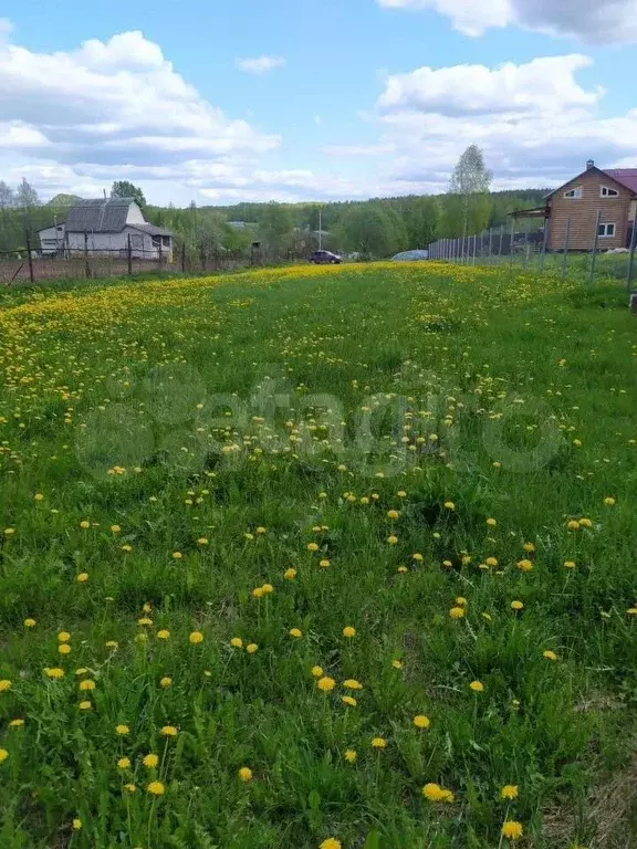 Участок 10 сот. (ИЖС) - Фото 0