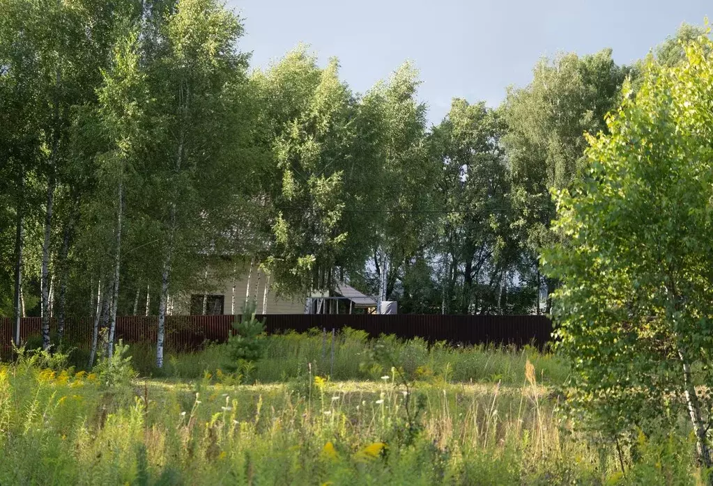 Участок в Тульская область, Алексин городской округ, с. Бунырево  ... - Фото 2